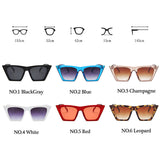 Plastic Vintage Luxury Sunglasses